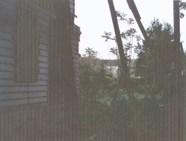 Side yard before clearing, fenced in undergrowth and abandoned debris.